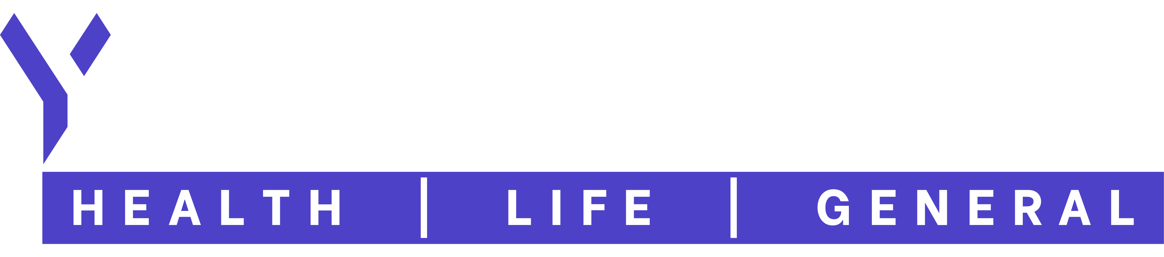 Yash Insurance Services